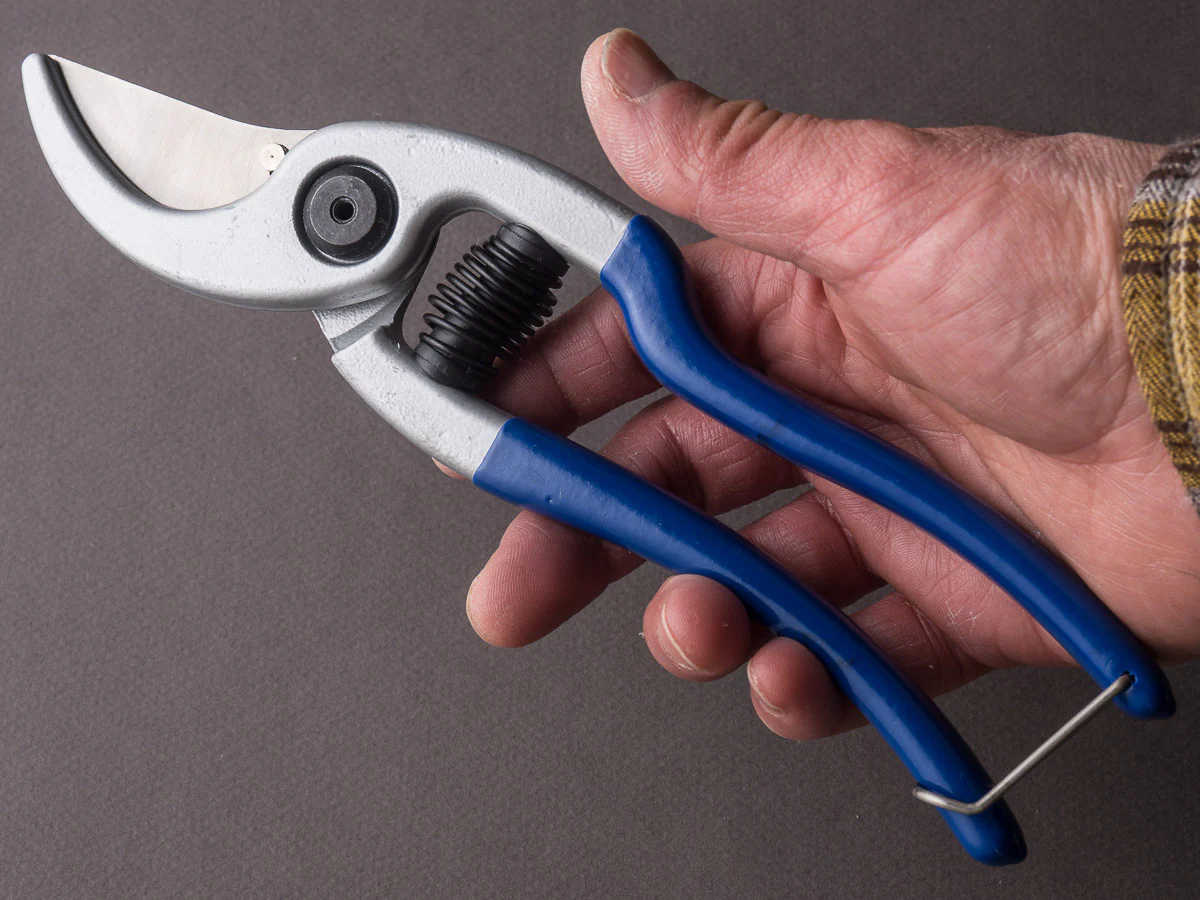 Arno - Secateur - Stainless - 23cm - Blue Handle - Image 4