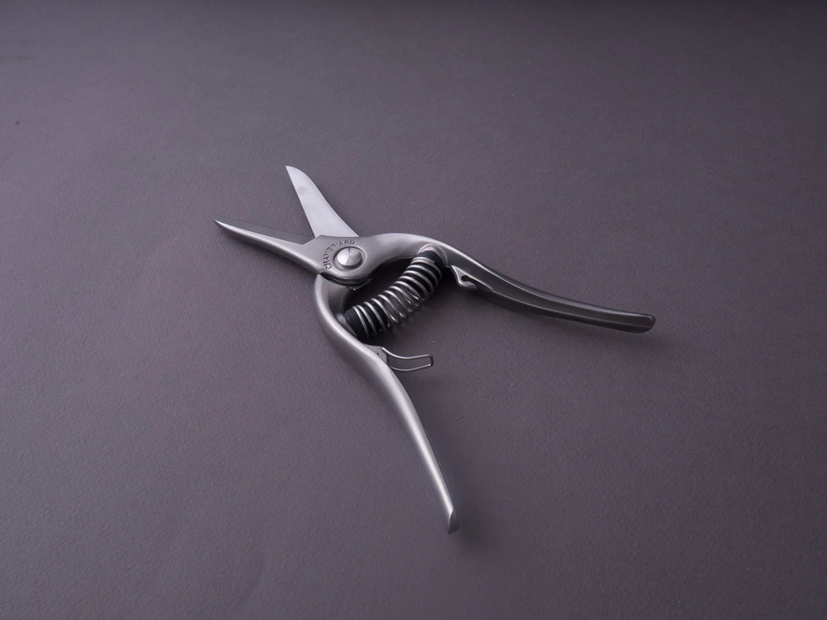 Chambriard - CK Thiers - Stainless Forged Kitchen Shears - Image 5