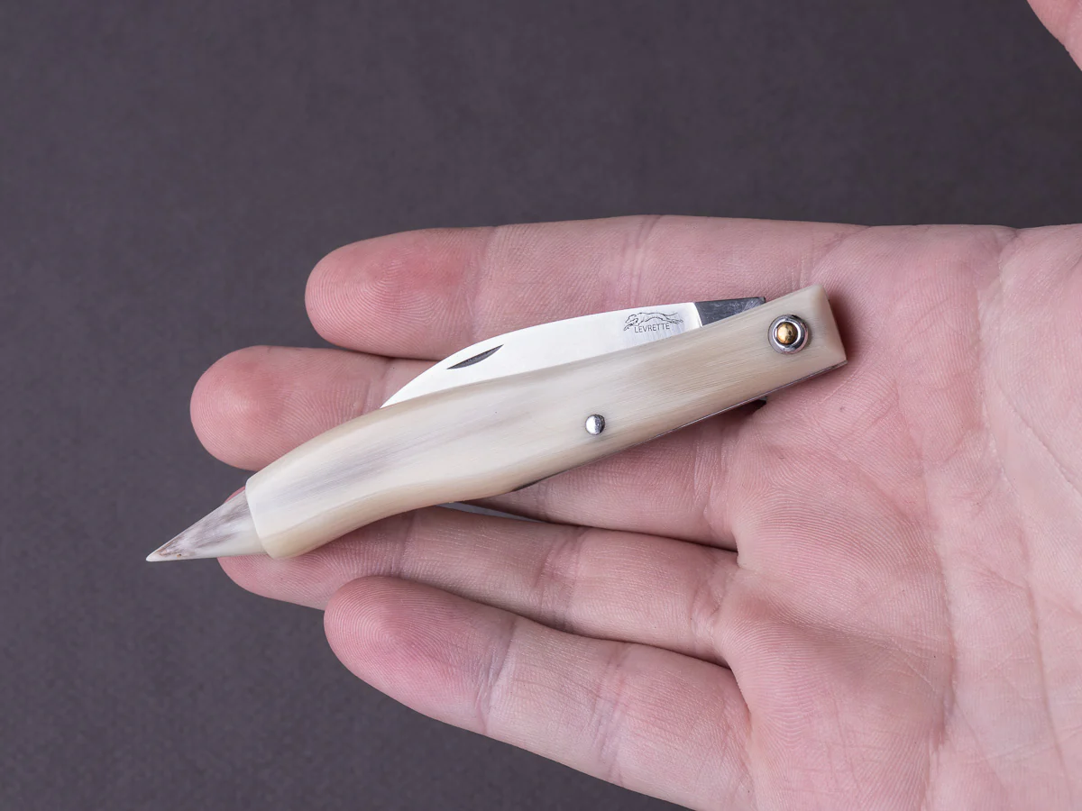 Cognet - Truffle Knife "Le Truffier" - Corne Blonde - Image 8