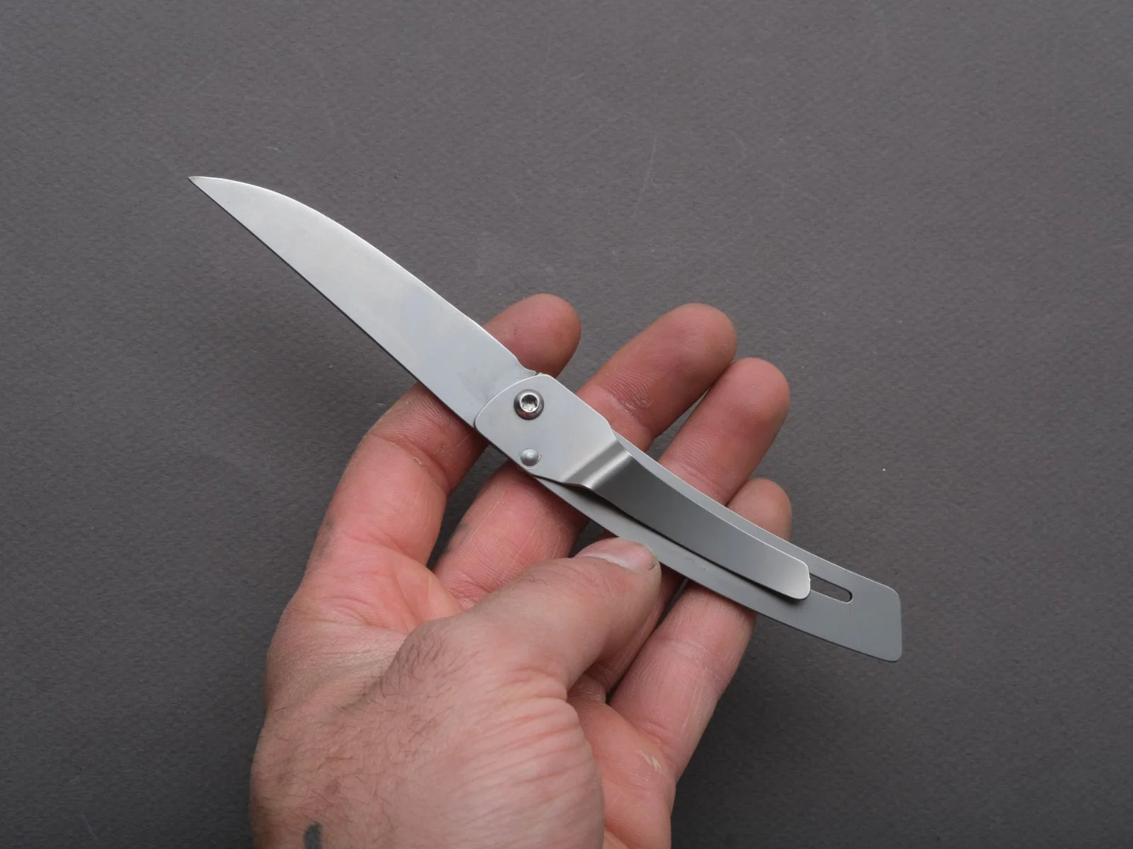 Dozorme - Folding - Le Theirs - Liner Lock - 7cm - Stainless Handle - Image 5