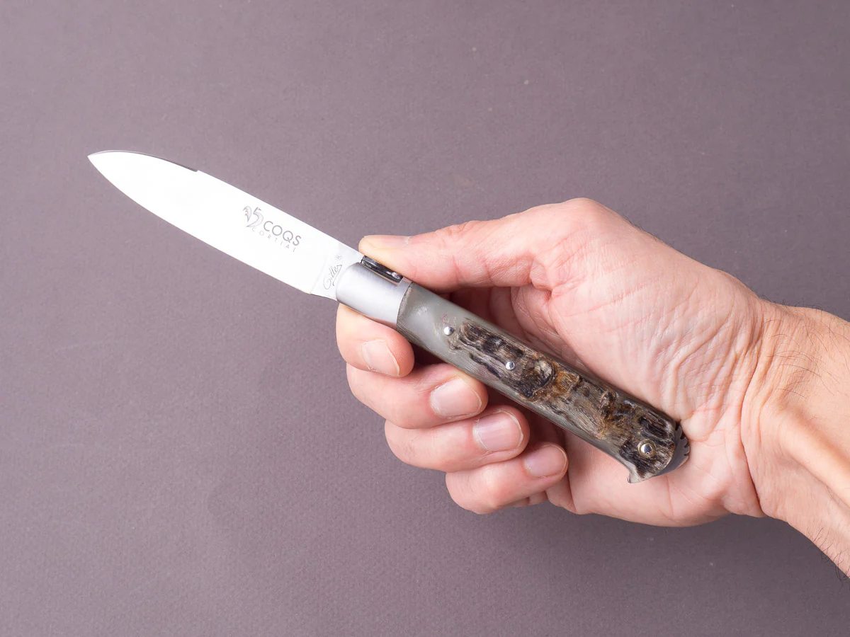 Fontenille-Pataud - Folding Knife - 5 Coqs - Slip Joint - 14C28N - 80mm - Ram Horn - Image 7