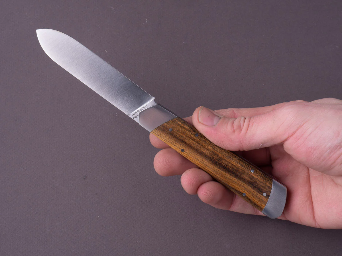 Fontenille Pataud - Folding Knife - Le Pradel - 14C28N - 90mm - Pistachio Handle - Image 7