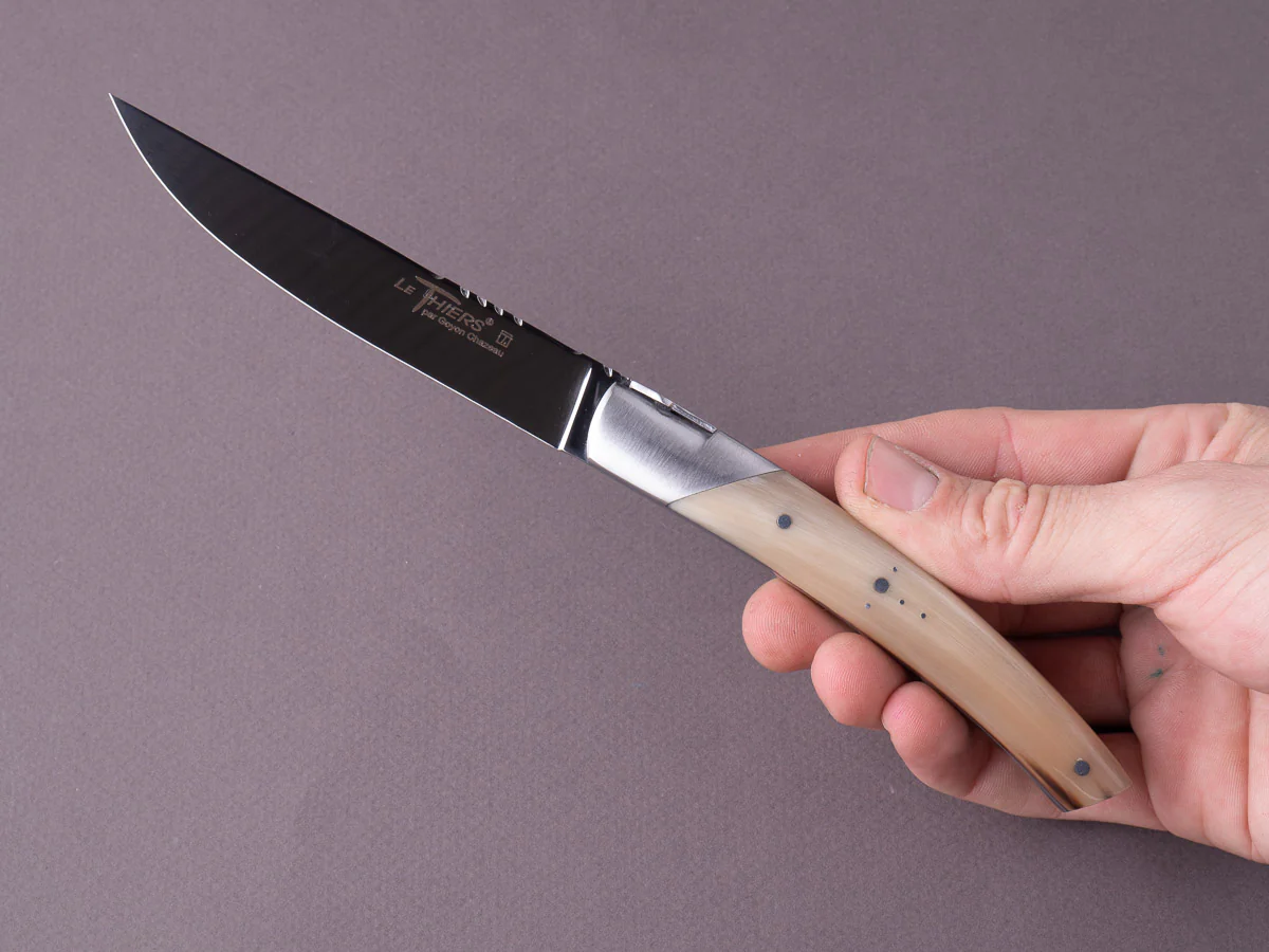 Goyon Chazeau - Le Thiers "Prestige" - Steak/Table Knives - Horn of Aubrac Handle - Set of 6 - Image 4