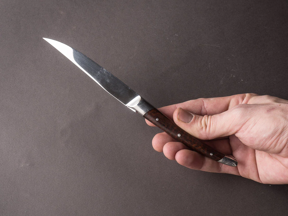 Goyon Chazeau - Steak Knives - Laguiole Moderne - 6 Different Wood - Set of 6 - Image 8