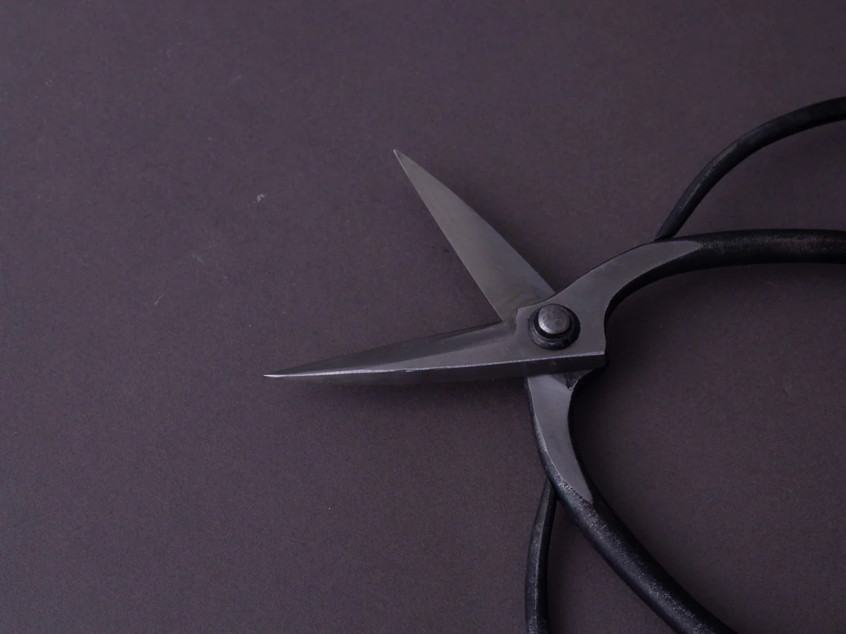 Morihei - Kisaku - 180mm Bonsai Pruning Shears - #56 - Image 5