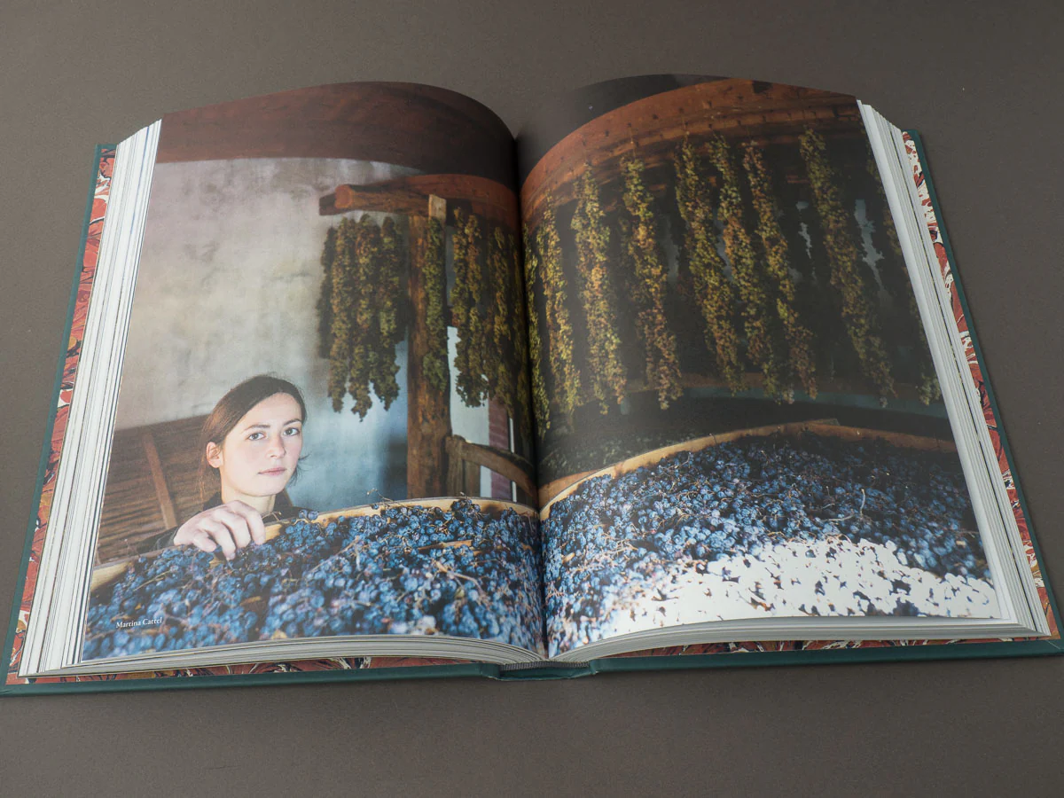 Vino - Image 5