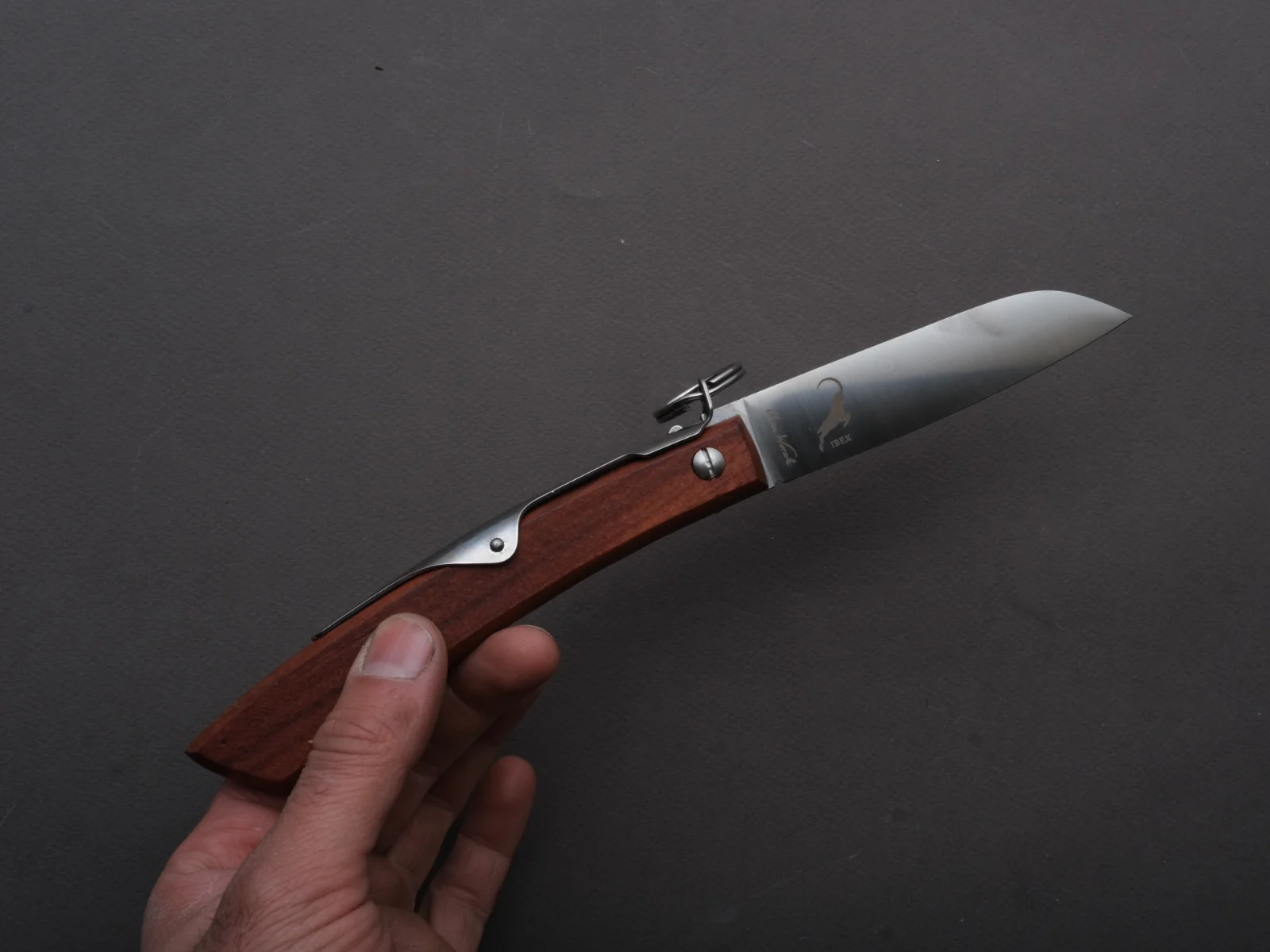 Windmühlenmesser - Folding - Ibex - Ratcheting Back Lock - Stainless - 100mm - Plum Wood - Image 4